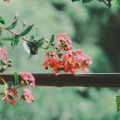 江南全站登录手机app下载