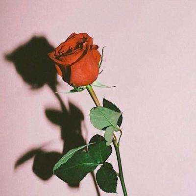 博鱼中国体育官网登录