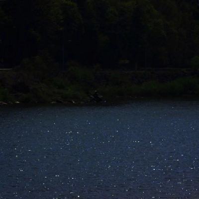 三张牌下载金花免费