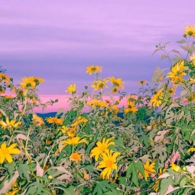 加拿大南宫NG娱乐app下载