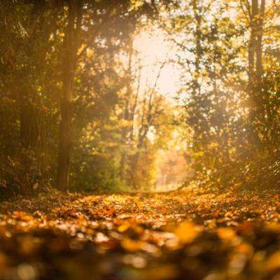 半岛彩票app下载