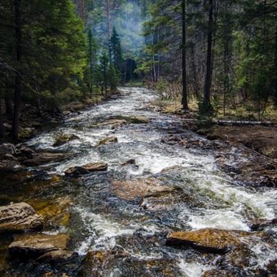 yaboapp手机app下载