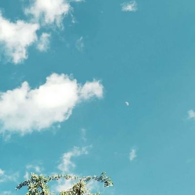 彩神下载手机版