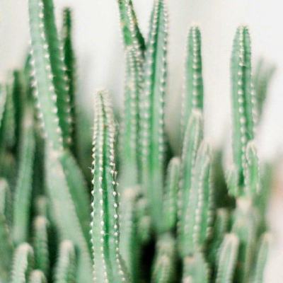 久游棋牌app下载