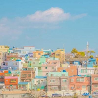 KOKapp下载手机版截图